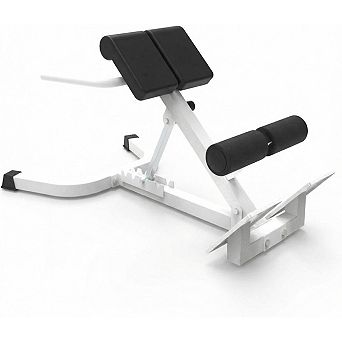 Dual Adjustable Roman Chair Back Extension Bench for Home Gym