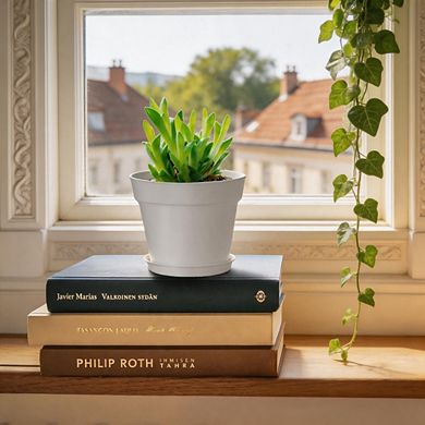 28 Pack 4 Inch White Small Plant Pots with Drainage Holes & Saucers