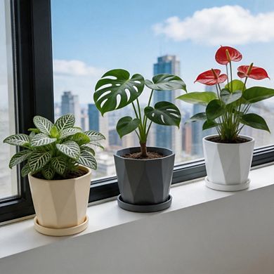 6 Pack 5 Inch Plastic Plant Pots with Drainage Holes & Saucers