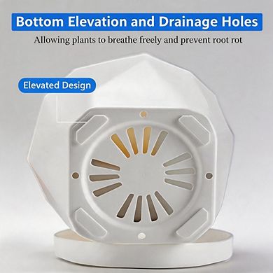 6 Pack 5 Inch Plastic Plant Pots with Drainage Holes & Saucers
