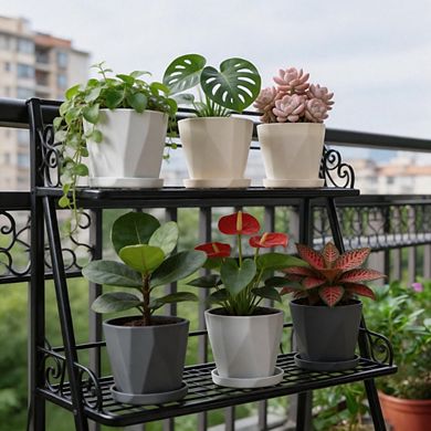 6 Pack 5 Inch Plastic Plant Pots with Drainage Holes & Saucers