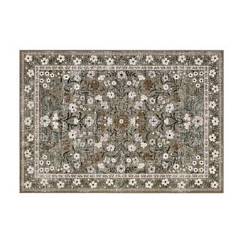 Washable Area Rugs Vintage Area Rug Non Slip Low Pile Boho Distressed Retro Carpet for Living Room