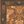 Orange Brown
