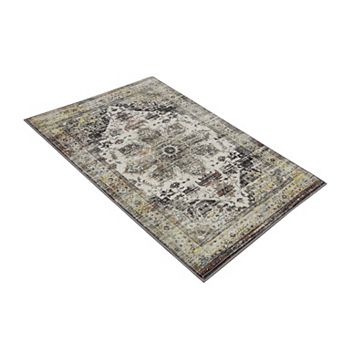 Area Rug for Living Room Machine Washable Rug Stain Resistant Rug Traditional Rug Vintage Carpet