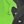 Black Green