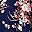 Navy Blue Pink