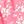 Pink Floral