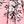 Pink Grey
