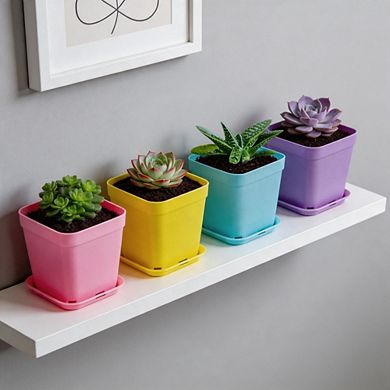 24 Pack 3 Inch Multicolor Square Plant Pots, Seedling Containers for Home & Garden