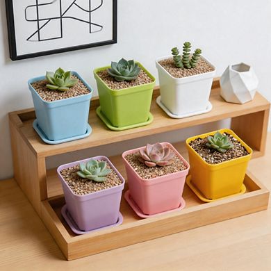 24 Pack 3 Inch Multicolor Square Plant Pots, Seedling Containers for Home & Garden