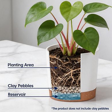 2 Pack 8 Inch White Planters, Plastic Pots With Drainage Saucers