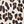 Black Brown Leopard