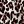Brown Leopard