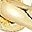 Gold Tone