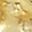 Gold Tone