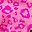 Leopard Rose