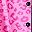 Pink Leopard