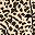 Brown Leopard