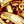 Gold Tone