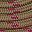 Light Brown Fuchsia