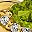 Peridot