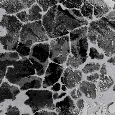HomeRoots Rectangle Abstract Plush Acrylic Area Rug