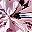 Lab Pink Sapphire