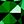 Lab Emerald