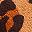 Leopard Suede