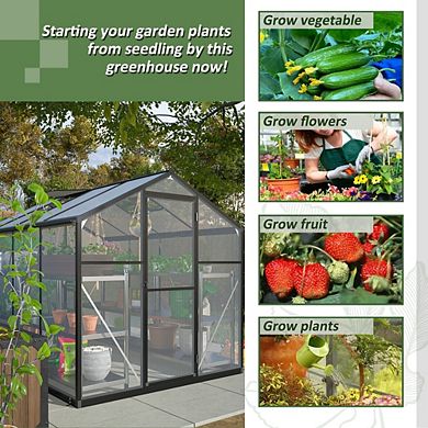 Heavy Duty Polycarbonate Walk In Shed 6x8 ft For Backyard