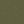 Burnt Olive
