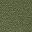 Burnt Olive