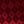 Burgundy Black