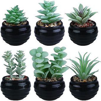 Green Artificial Succulent Plants in Black Pots, Mini Faux Indoor Desk & Home Decor