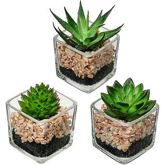 Artificial Succulents in Glass Pots, Mini Faux Indoor Desk Decor