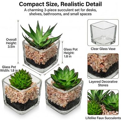 Artificial Succulents in Glass Pots, Mini Faux Indoor Desk Decor