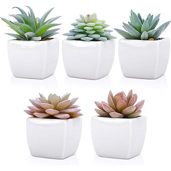 Artificial Succulent Plants, Mini Faux Desk Decor for Home & Office