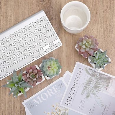 Artificial Succulent Plants, Mini Faux Desk Decor for Home & Office