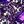 Gold And Purple