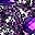 Gold And Purple