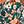 Black Red Black Green