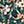 Blackgreen Black Khaki