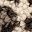 Cream Leopard