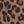 Dark Leopard