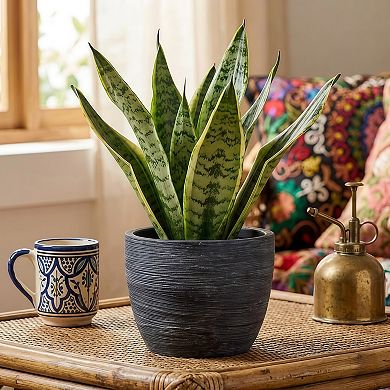 Textured Matte Ceramic Planter Pots, 4-Piece Set