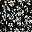 Black Floral