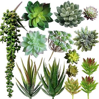 Assorted Artificial Succulents, Faux Hanging String of Pearls for Decor