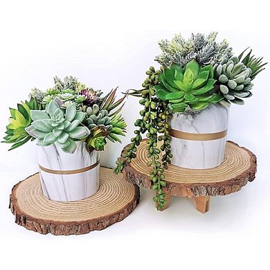 Assorted Artificial Succulents, Faux Hanging String of Pearls for Decor