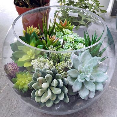 Assorted Artificial Succulents, Faux Hanging String of Pearls for Decor