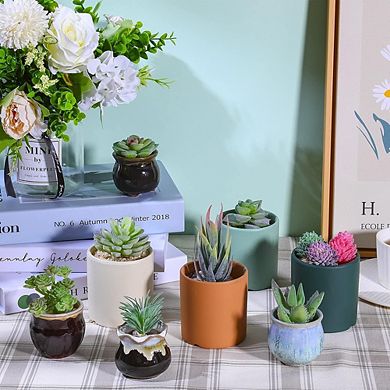 Christmas Mini Artificial Succulents, Faux Assorted Picks for DIY Craft Decor